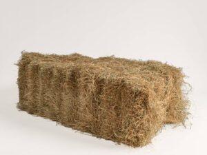 Meadow Hay