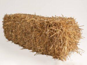 Straw