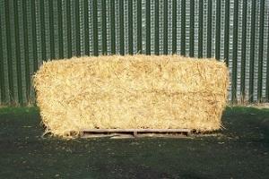 Big Square Bale Straw